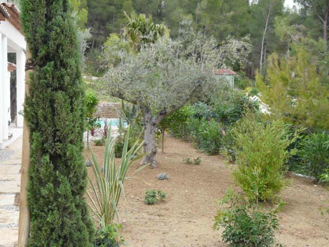 Réalisation d'un jardin méditerranéen à Bandol