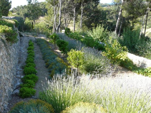 Aménagement d'un jardin paysager à Bandol (83)